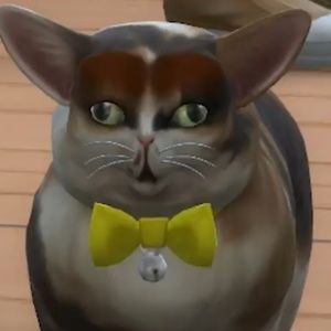 Meet your Posher, Angel